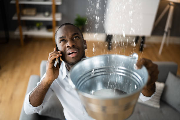 Best Basement water damage restoration  in Drexel, NC