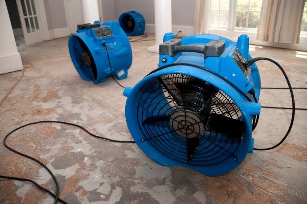 Water damage restoration mold remediation in NC