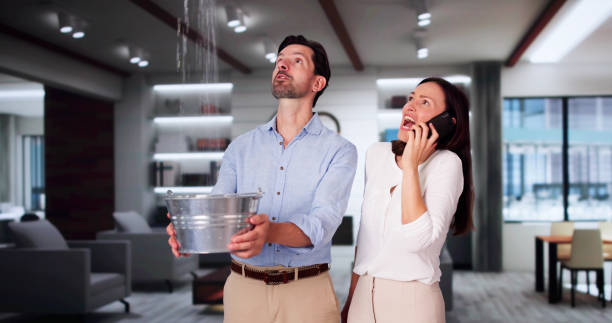 Best Water damage contractors near me  in Drexel, NC