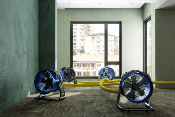 Best Fire Damage Restoration  in Drexel, NC